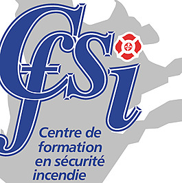 CFSI logo設(shè)計(jì)欣賞 CFSI標(biāo)志設(shè)計(jì)欣賞
