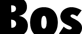 Bos logo设计欣赏 博斯标志设计欣赏