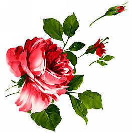 位圖 藝術(shù)效果 水彩 花卉 免費(fèi)素材