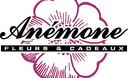 Anemone fleurs et cadeaux logo設(shè)計(jì)欣賞 海葵弗勒爾等cadeaux標(biāo)志設(shè)計(jì)欣賞