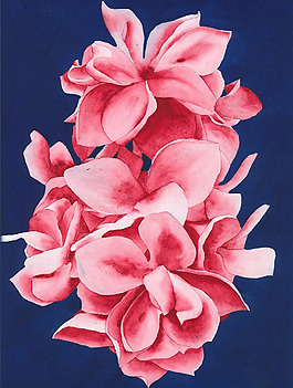 位圖 植物 寫意花卉 花朵 蝴蝶蘭 免費(fèi)素材
