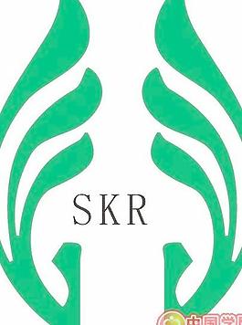 skr