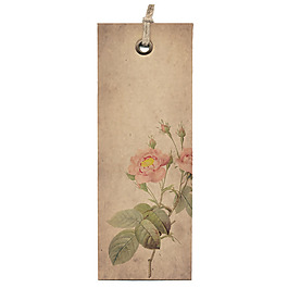 吊牌 花朵 玫瑰 免費素材