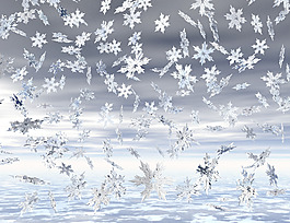雪花