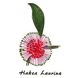 绣花 花朵 免费素材