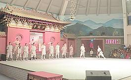 少林武術(shù)表演圖片