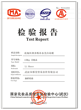 检验报告的矢量图