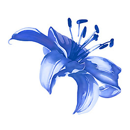 位圖 植物 寫(xiě)意花卉 花朵 百合 免費(fèi)素材