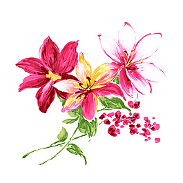 位圖 植物 寫(xiě)意花卉 花朵 百合 免費(fèi)素材