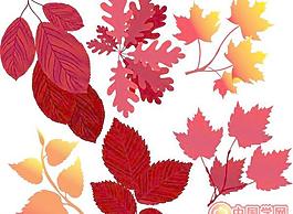 一組秋天的紅葉矢量素材
