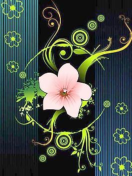花朵花紋矢量圖下載