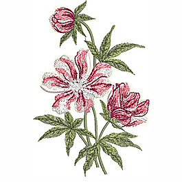 繡花 植物 花卉 花朵 樹葉 免費(fèi)素材