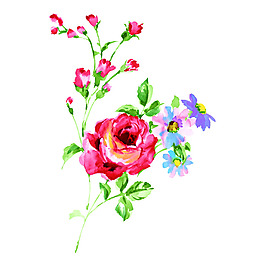 位圖 植物 寫意花卉 花朵 牡丹 免費(fèi)素材