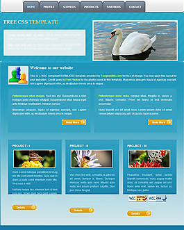 藍(lán)顏色商務(wù)CSS網(wǎng)頁