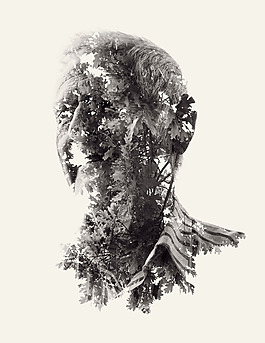 位圖 插畫 植物插畫 插畫師 Christoffer 免費素材