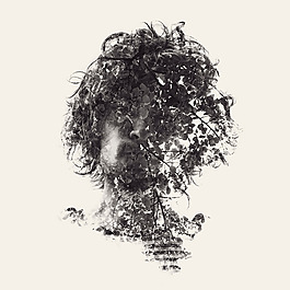位圖 插畫 植物插畫 插畫師 Christoffer 免費素材