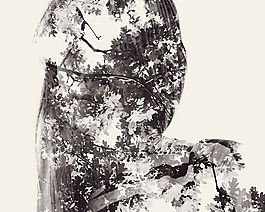 位圖 插畫 植物插畫 插畫師 Christoffer 免費素材