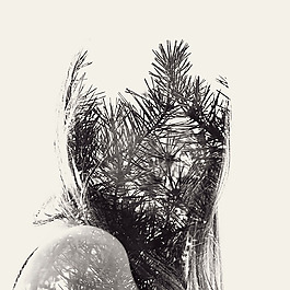 位圖 插畫 植物插畫 插畫師 Christoffer 免費素材
