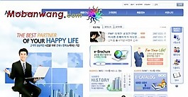 商業(yè)服務(wù)中心網(wǎng)頁(yè)模板