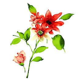 位圖 植物 寫意花卉 花朵 野花 免費(fèi)素材