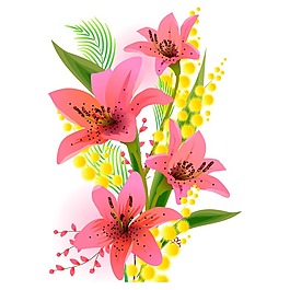 矢量圖 植物 寫(xiě)意花卉 花朵 百合 免費(fèi)素材