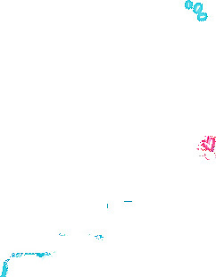 韩版banner 棒棒糖图片