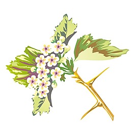 矢量圖 植物 寫意花卉 花朵 野花 免費(fèi)素材