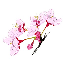 矢量圖 植物 寫意花卉 花朵 桃花 免費(fèi)素材