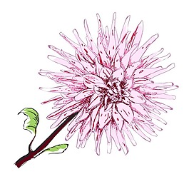 矢量圖 植物 寫意花卉 花朵 野花 免費(fèi)素材