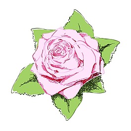 矢量圖 植物 寫意花卉 花朵 玫瑰 免費素材
