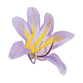 矢量圖 植物 寫(xiě)意花卉 花朵 百合 免費(fèi)素材