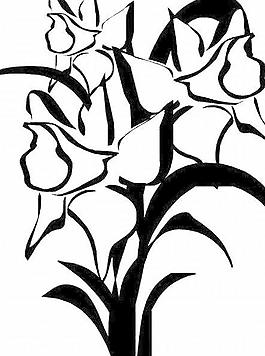 花瓣花朵鮮花