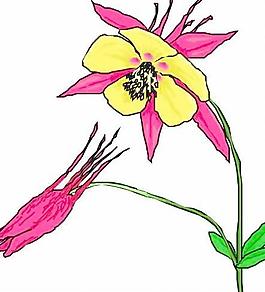 卡通花草漫畫