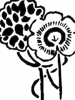 花瓣花朵鮮花