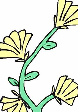 花朵鮮花