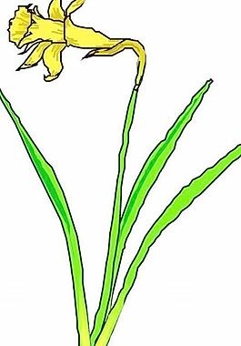 花草花朵花瓣