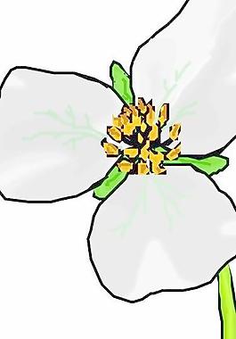 花草花朵花瓣