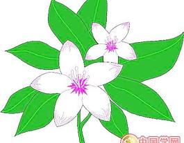 花草花朵花瓣