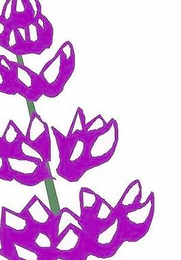 花草花朵花瓣
