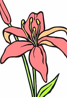 花草花朵花瓣