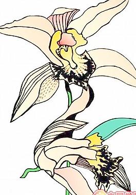 花瓣鮮花矢量圖