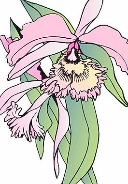 花瓣鮮花矢量圖