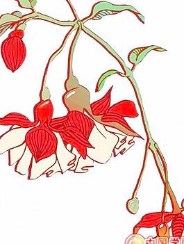 花瓣鮮花矢量圖