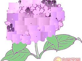花瓣鮮花矢量圖
