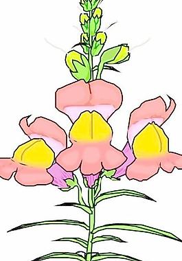 卡通花草漫畫(huà)