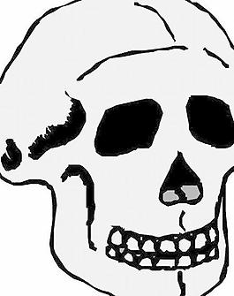 人體骨骼