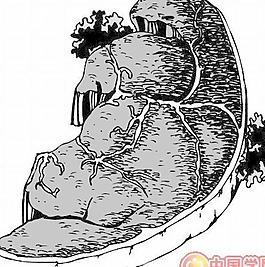 肉類食物矢量圖