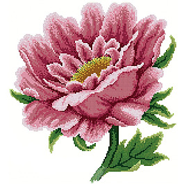 繡花 十字繡 花紋 花朵 牡丹 免費(fèi)素材