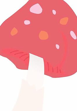 蘑菇