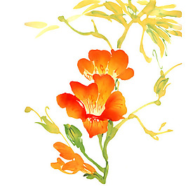 位圖 植物 寫意花卉 花朵 牽?；?免費素材